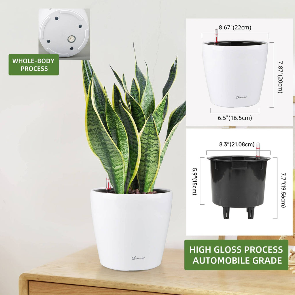 9x8 Self Watering Planter (White High Gloss)