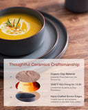 Nebula Ridge Stoneware Dinnerware Sets, Plates and Bowls Sets for 4, 12 Pieces Dishes Set