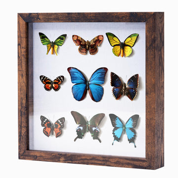 12x12 Shadow Box Wood Picture Frame, Tempered Glass, Honey Brown
