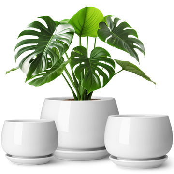 3-Pack Ceramic Plant Pots, 3.7/4.8/6.2 Inch Indoor Planters with Saucers & Drainage Hole Planter pots for Indoor