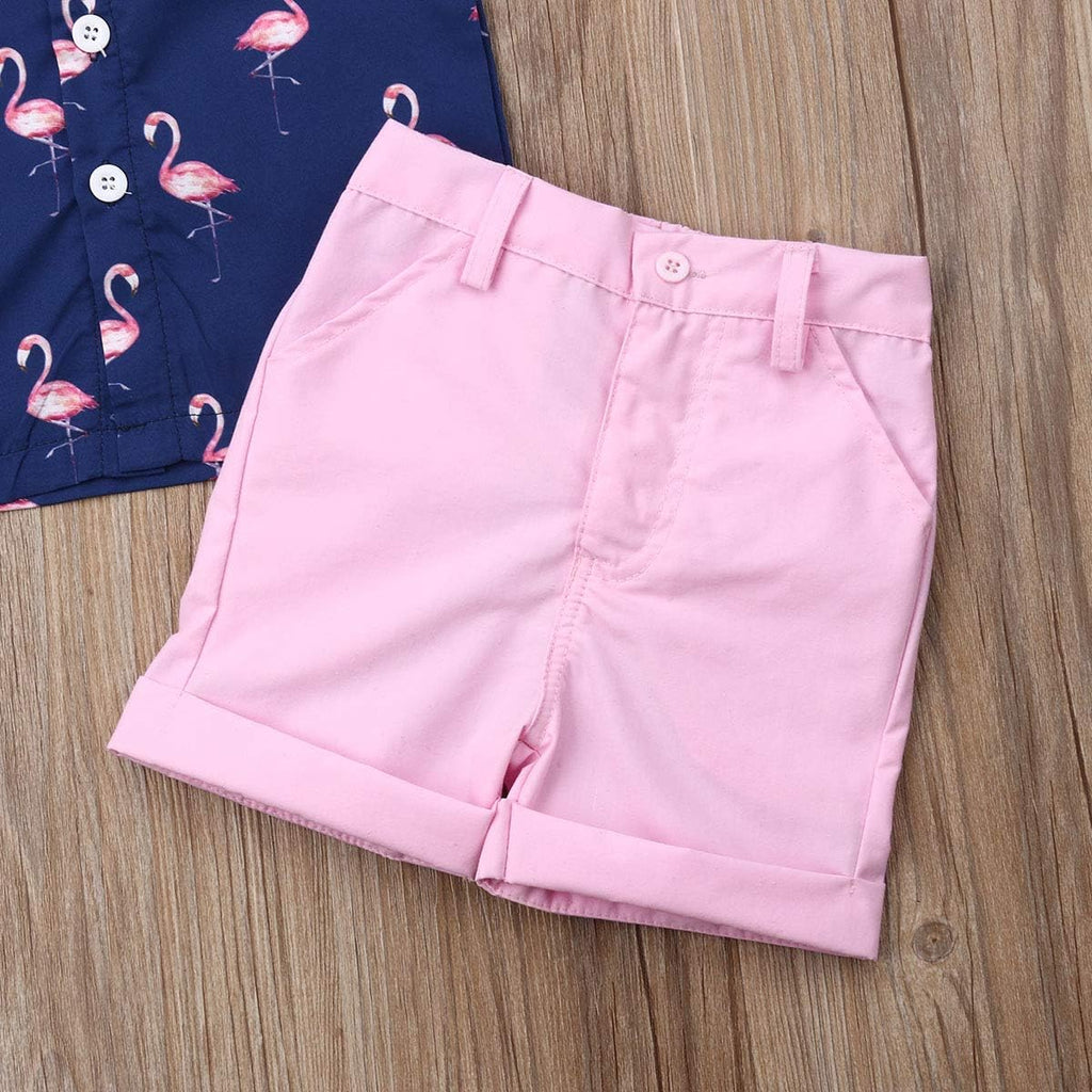 Toddler Baby Boy Flamingo Short Sleeve Button Down Shirt & Casual Shorts Set Summer Outfits Clothes