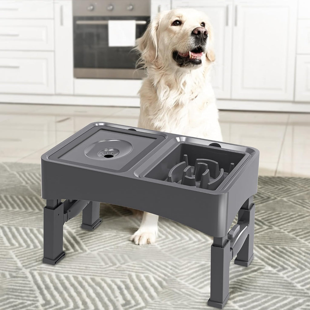 2-in-1 Elevated Dog Bowls Set with 4 Height Adjustable Stand, Balck