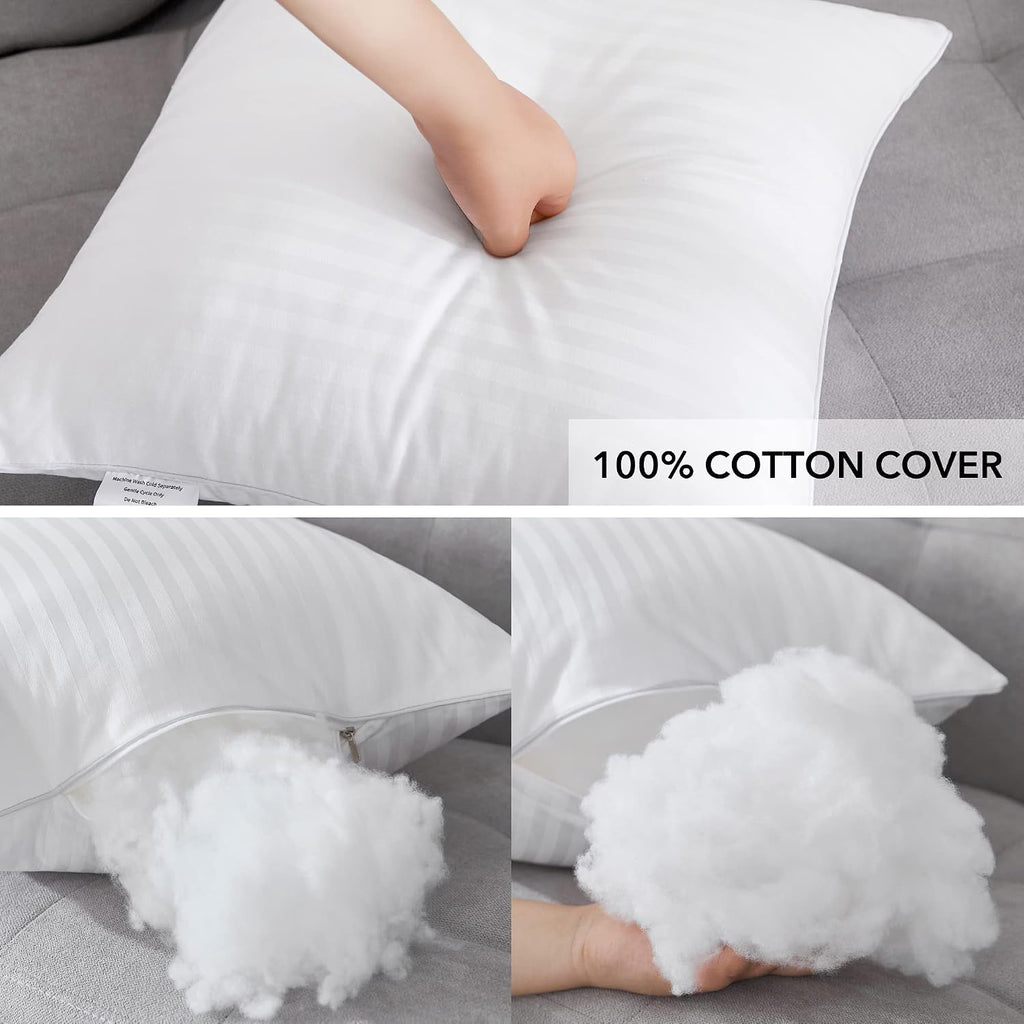 18 x 18 Throw Pillow Inserts - Set of 2