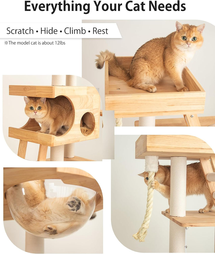 61.8" Wood Cat Tree Tower for Large Cats, Acrylic Bowl & Ladder