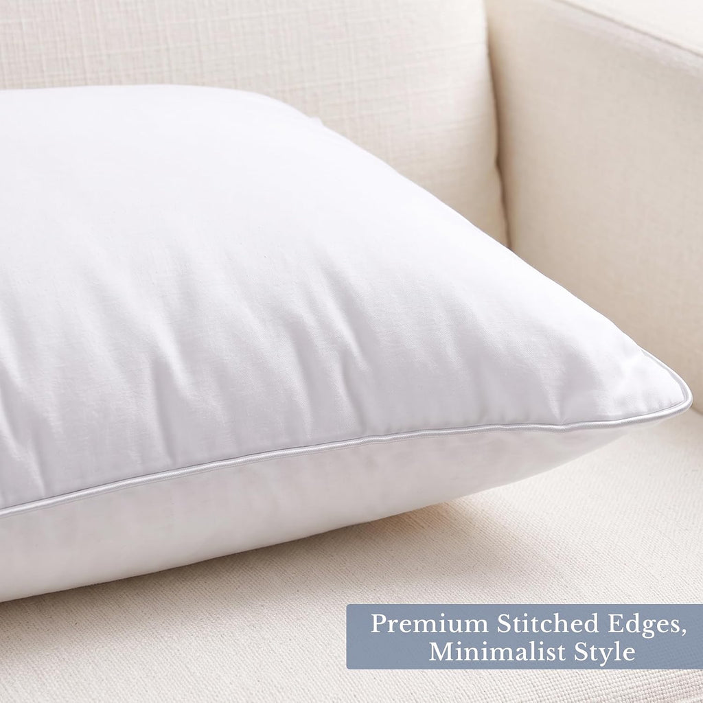 20x20 Pillow Inserts-20 Inch Square Decorative Pillow Insert, Soft Fluffy Throw Pillow Inserts for Sofa & - Set of 2