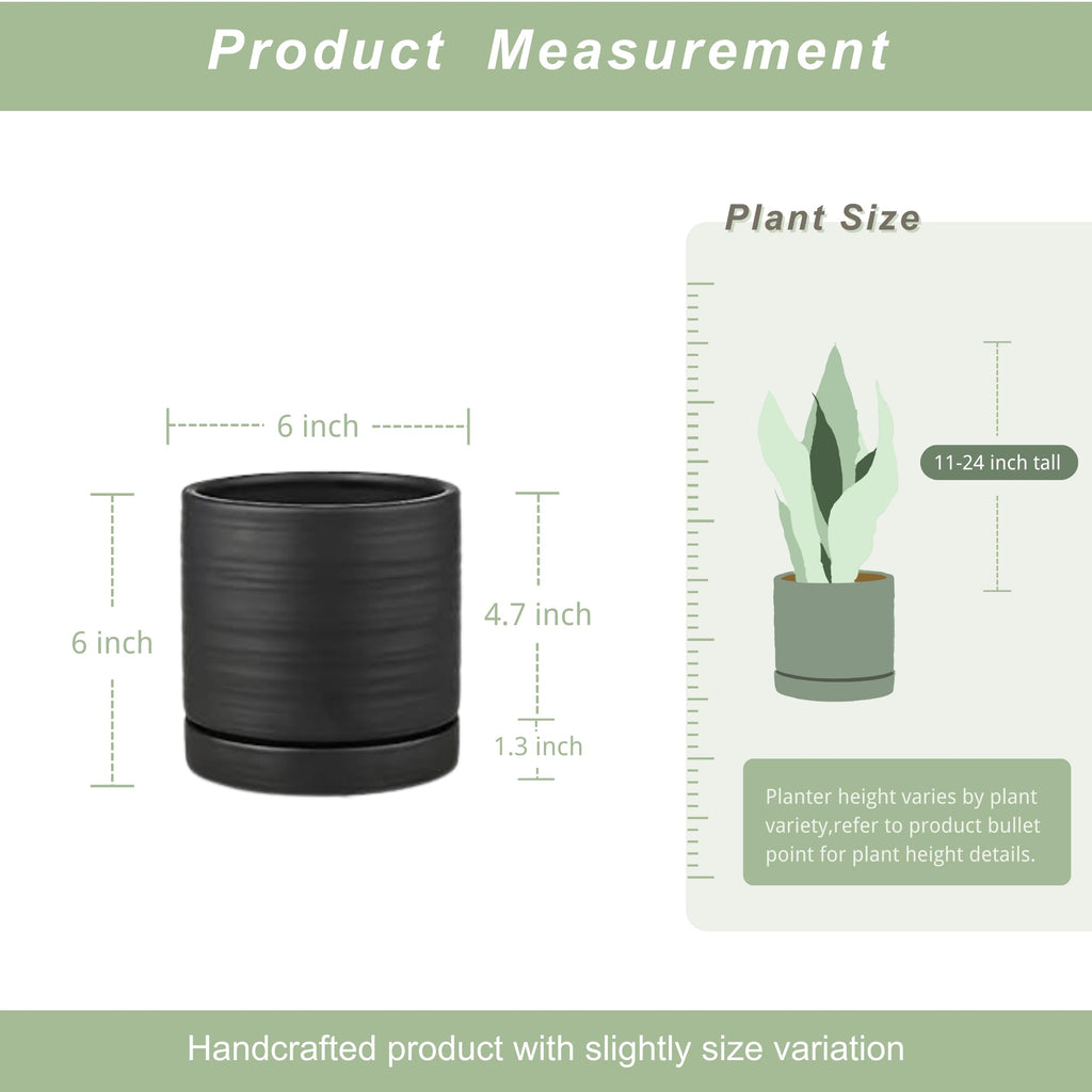 6 Inch Plant Pots, Ceramic Planter Pot with Drainage Hole & Saucer, Indoor/Outdoor Cylinder Round Planter Pot, Matte