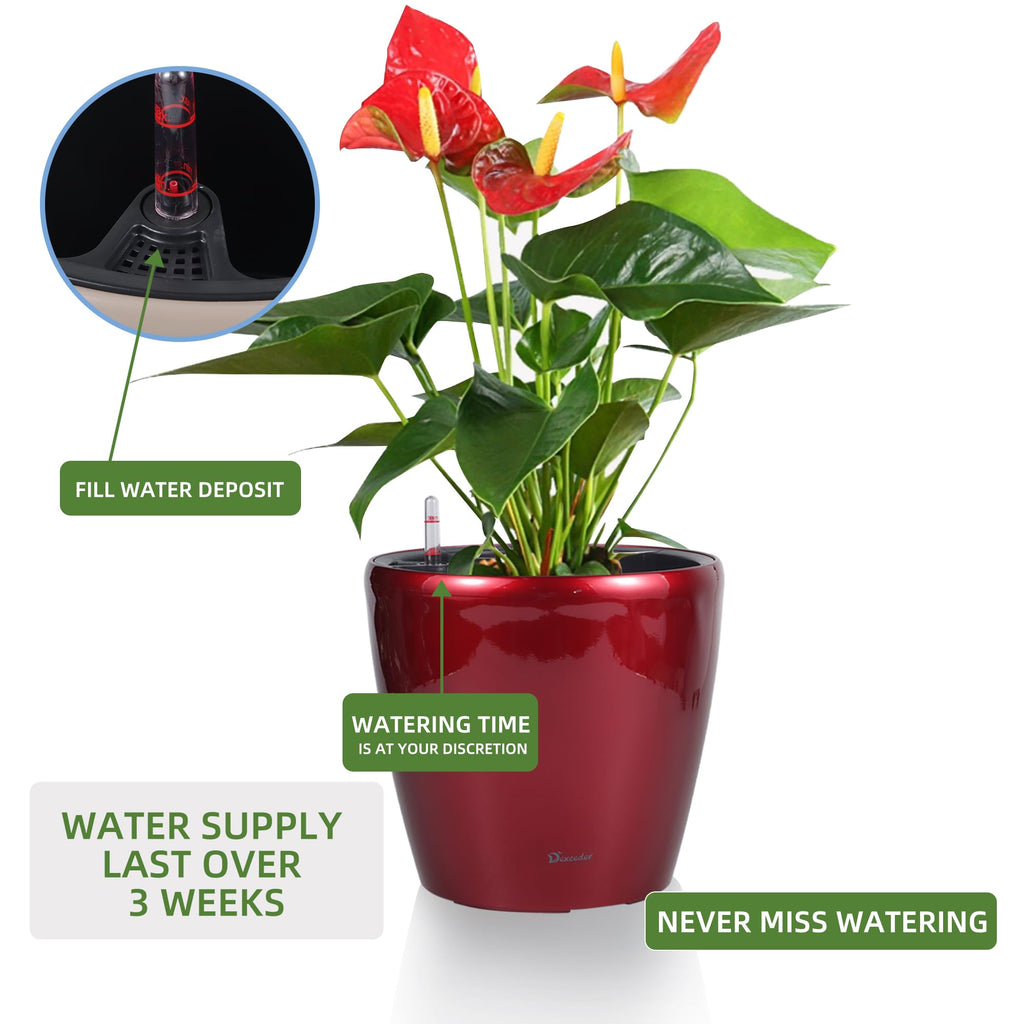 11x10 Self Watering Planter (Red High Gloss)