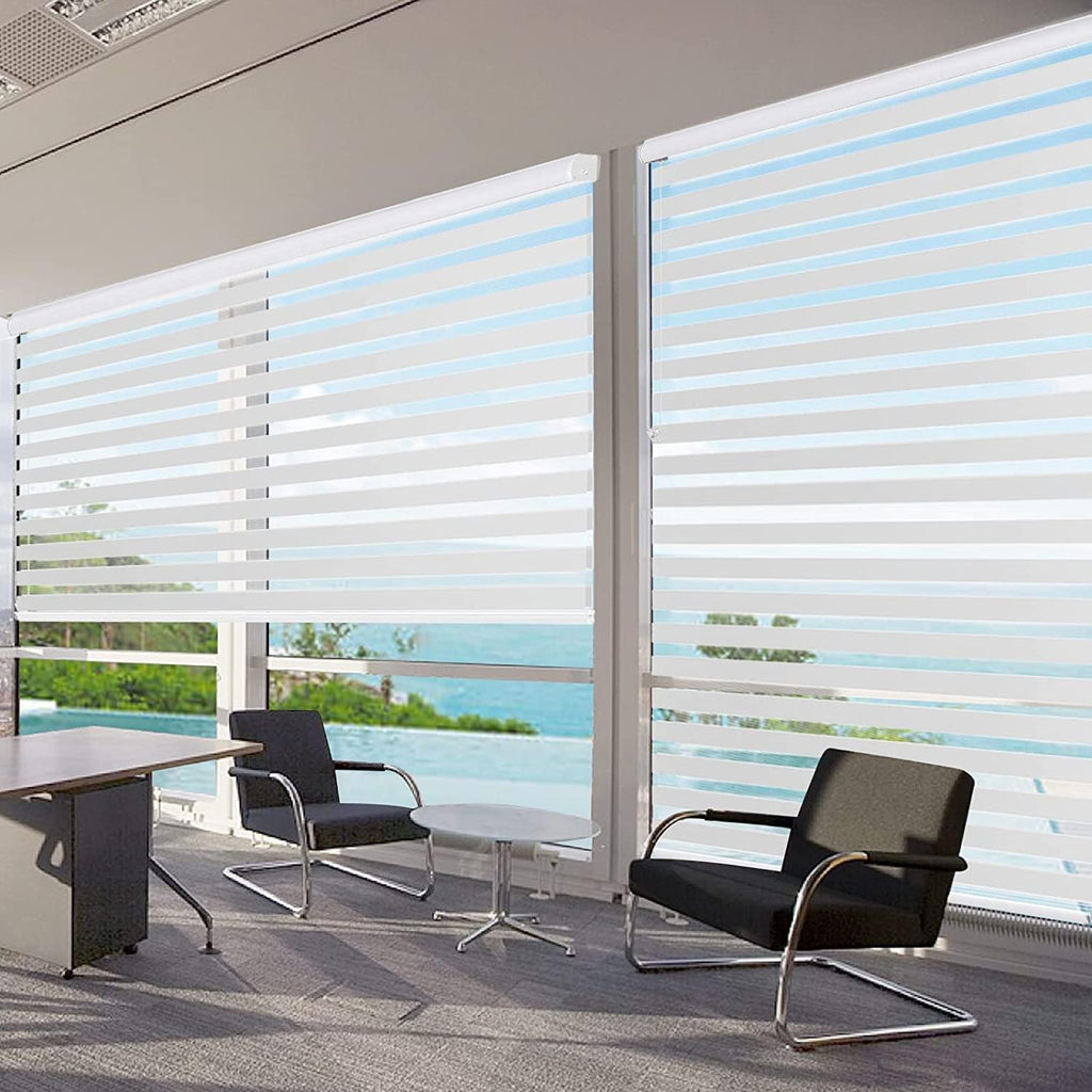 Cordless Zebra Blinds for Windows, Dual Layer Free-Stop Zebra Shades Privacy Light Control for Day and Night, Light