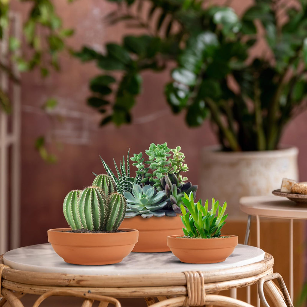 Terracotta Pots with Drainage Holes, Large 2 Pack, 8.66 Inch