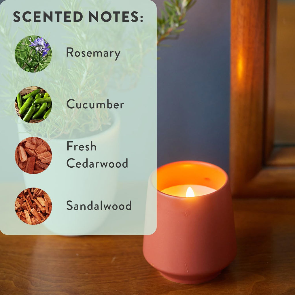 Soy Candle Planter - Grows Rosemary - Cucumber Scent - 6 oz