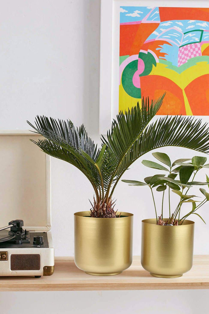 Large Gold Planters Metal Aloe Brass-Tone Plant Pots Indoor Decorative Flower Pots with Drain Holes(8+7.1Inch)