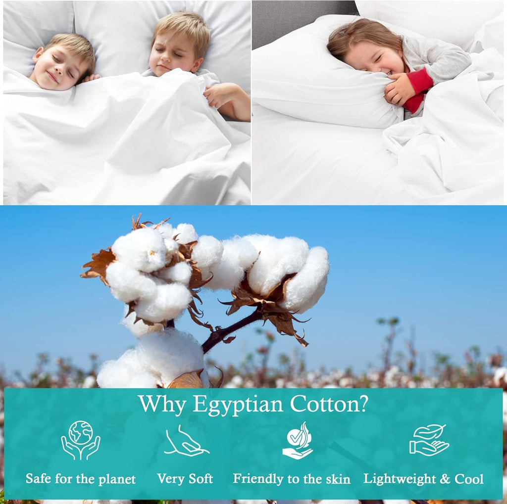 KWB Giant Pillowcase - Extra Large Extra Tall Pillowcases. 100% Egyptian Cotton 600 TC Pack of 2 (Fits Even The