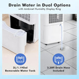 30Pints Dehumidifier with Drain Hose, 2,000 Sq.Ft Dehumidifier for Basement, 0.53 Gallon Tank, Low 38dB