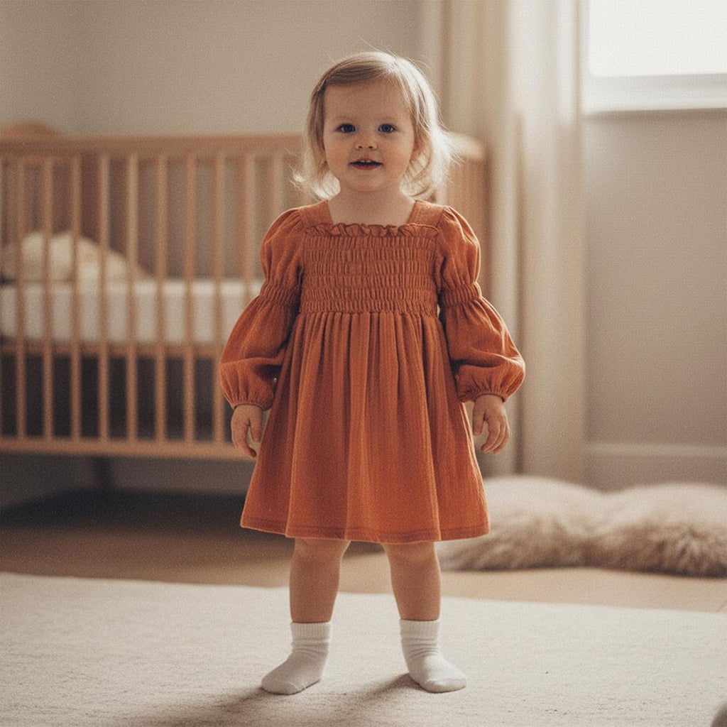 Toddler Girl Smocked Dress Lantern Long Sleeve Solid Color Casual A Line Little Girl Dresses Fall Winter Clothes