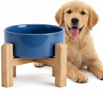 Elevated Ceramic Dog Bowl with Bamboo Stand, Raised Pet Feeding Station for Small Medium Dogs Cats, Modern Design