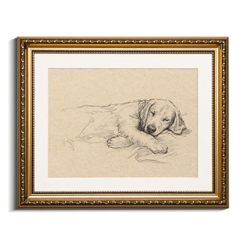 Gold Framed Wall Art, Sleeping Dog Canvas Print Home Decor Vintage Antique Sketch Painting Pictures Bathroom Wall