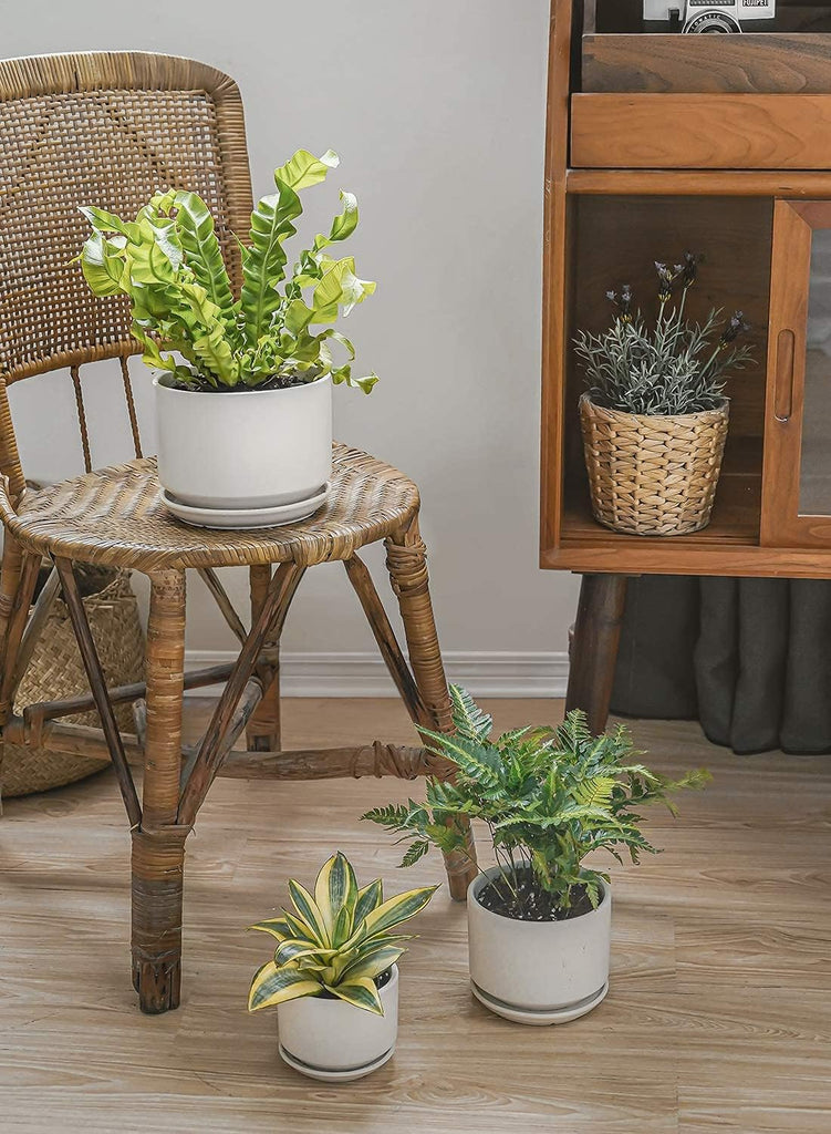 Ceramic Pots for Plants, 4.3+5.3+6.8 Inch, Set of 3, White