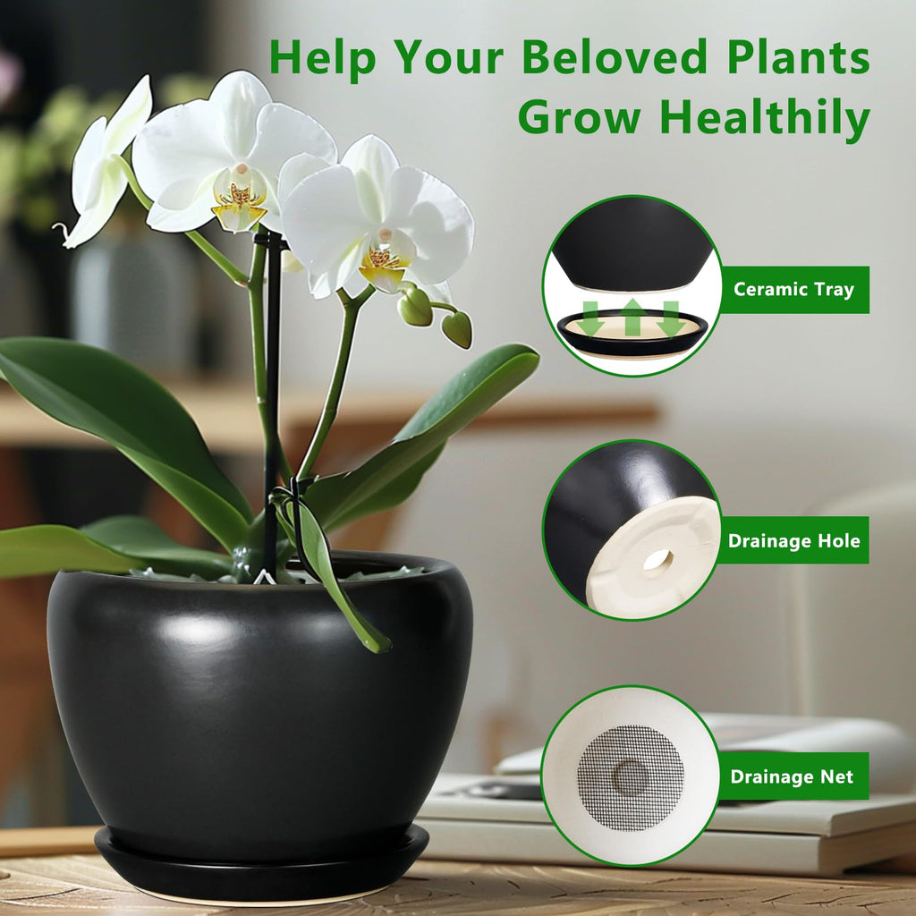 Ceramic Planter Pot - 8 Inch Plant Pot with Drainage Hole and Saucer Round Planter for Indoor Plants Modern Outdoor