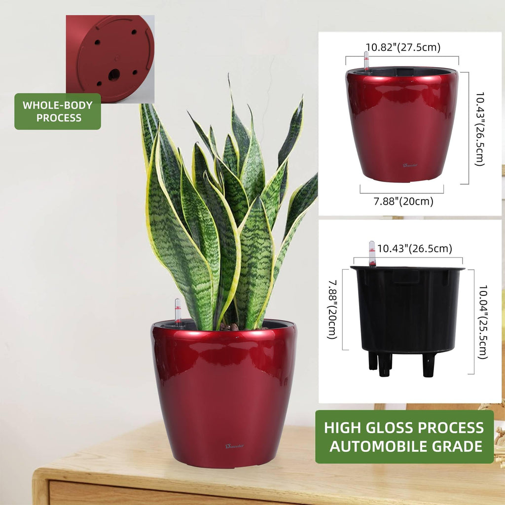 11x10 Self Watering Planter (Red High Gloss)