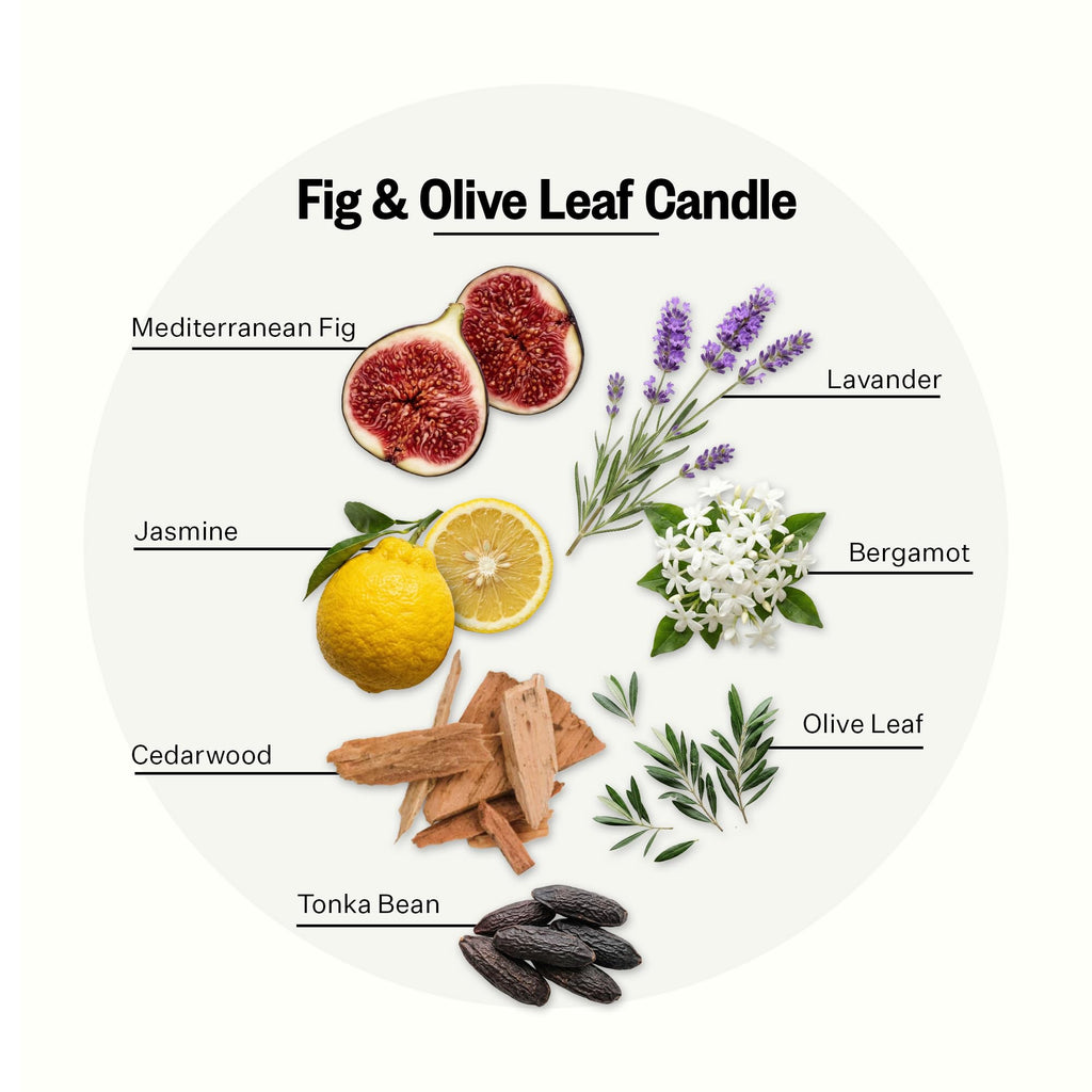 Signature Scented Candles, Fig and Olive Leaf - 10.5 Oz