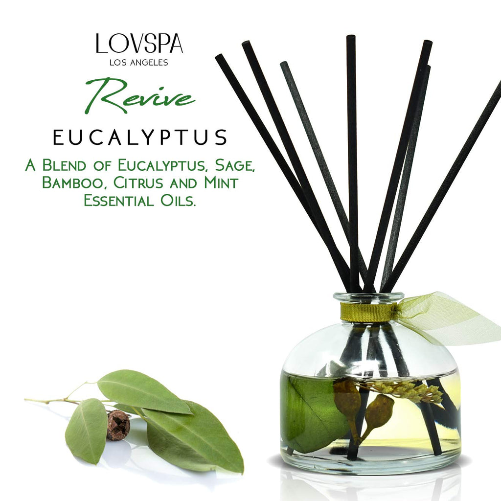 Eucalyptus Reed Diffuser Set, Revive Fresh Eucalyptus, Sage, & Mint Scent Diffuser with Sticks Shelf Decor