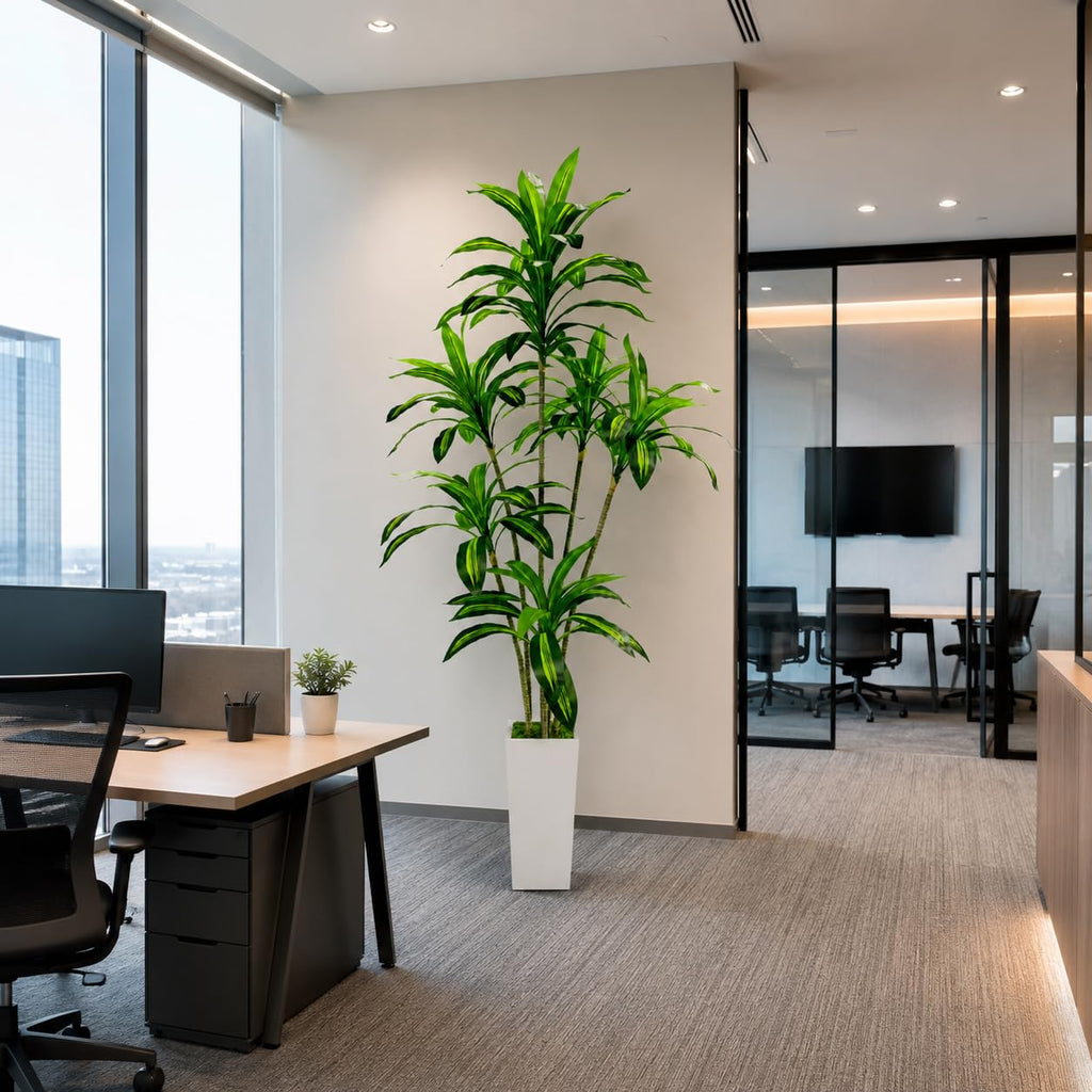 Artificial Dracaena Tree with White Tall Planter, 7FT