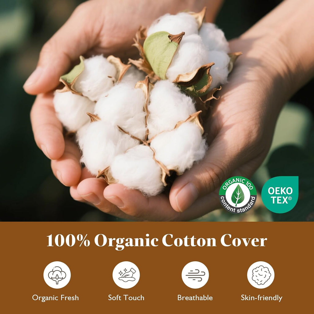 Down Feather Throw Pillow Inserts 22x22, 100% Organic Cotton Cover, Soft Fluffy & Support, Decorative - Set of 2