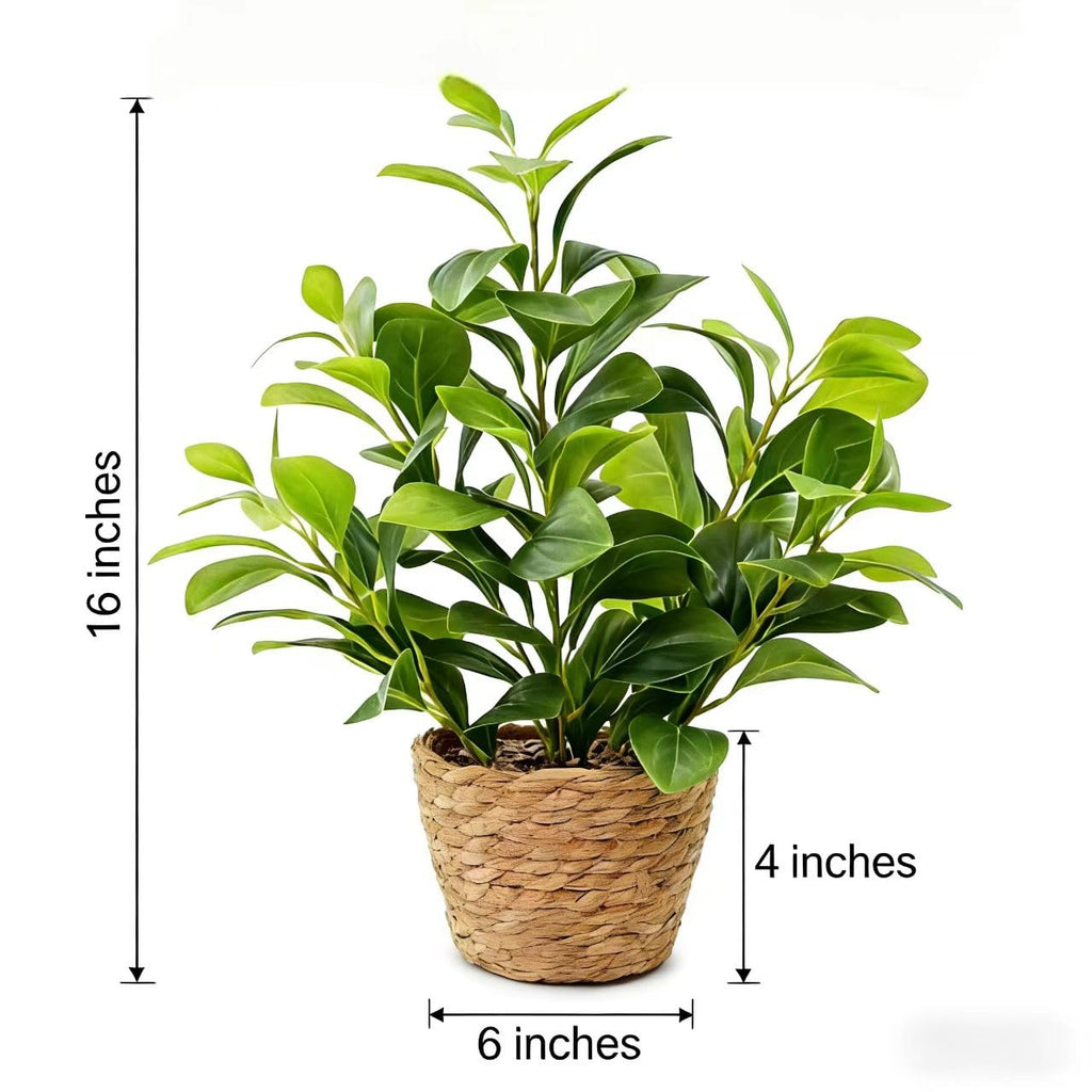 16 inch Boho Artificial Peperomia Potted Plant in Woven Basket Planter Lifelike Two Tone Green Leaves Faux Indoor