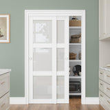 Bypass Glass Sliding Closet Door 48x80, Double Closet Panels with Hardware & Fascia, 3 Lite Frosted 