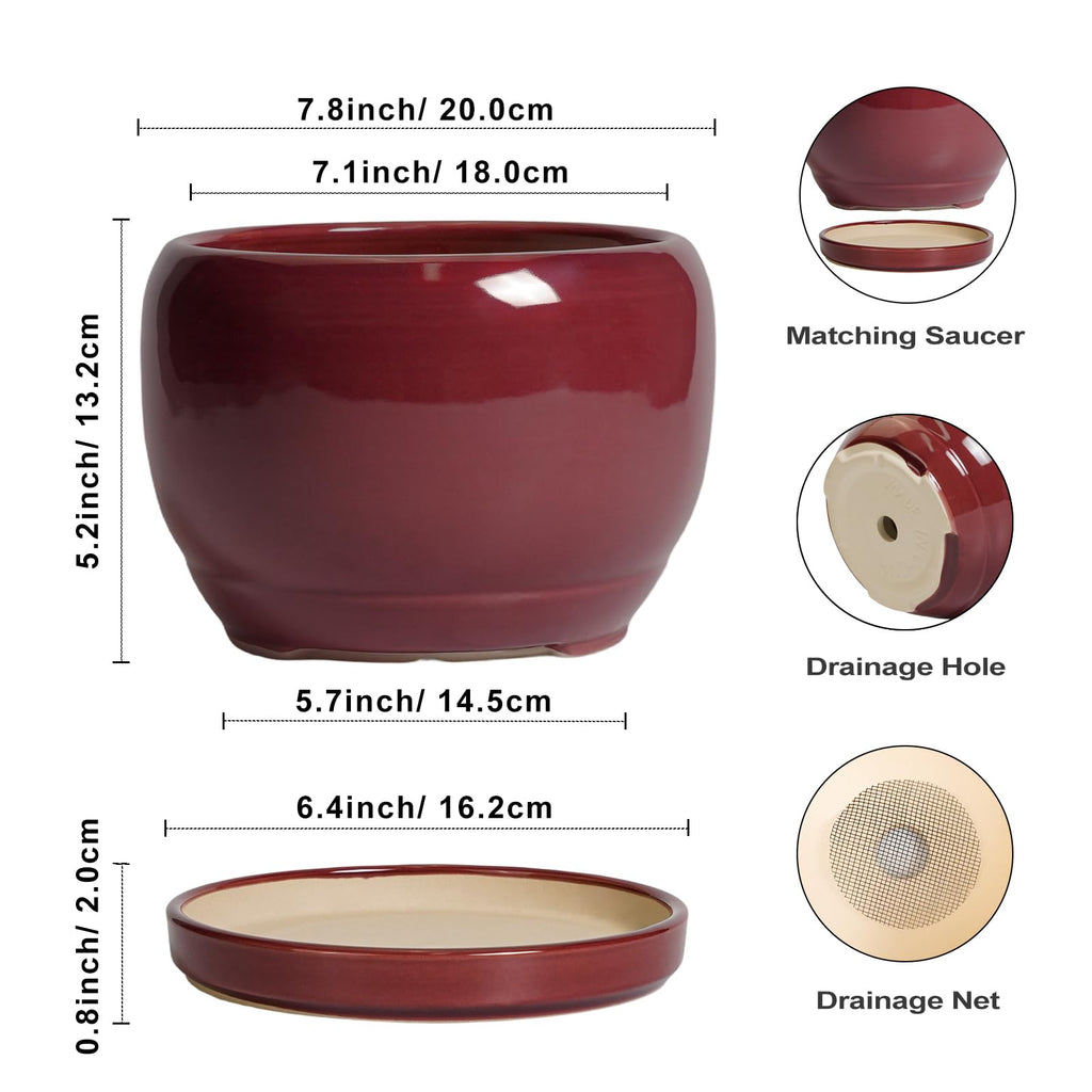 Ceramic Planter - 8 Inch Plant Pot with Drainage Hole and Saucer, Round Planter for Indoor Outdoor Plants, Modern