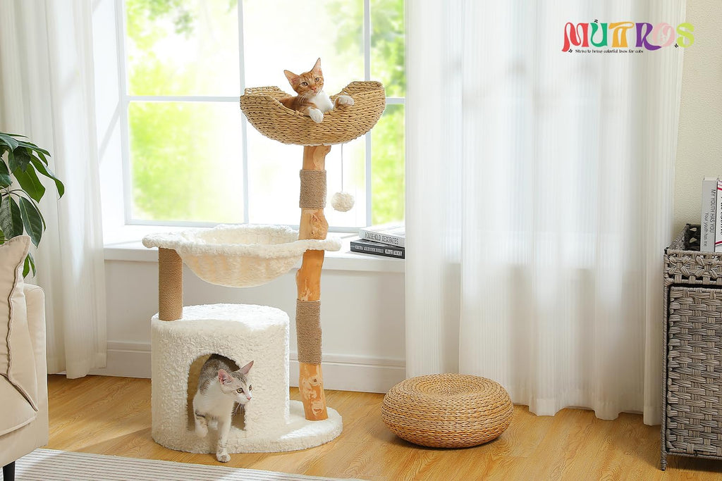 Modern Cat Tree for Large Cats, Wood Cat Tower for Indoor Cats, Real Branch Luxury Cat Furniture with Super Large