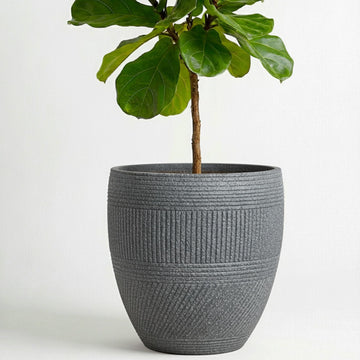 15" Textured Drum Outdoor Planter, Charcoal Gray, Modern Round Plant Pot