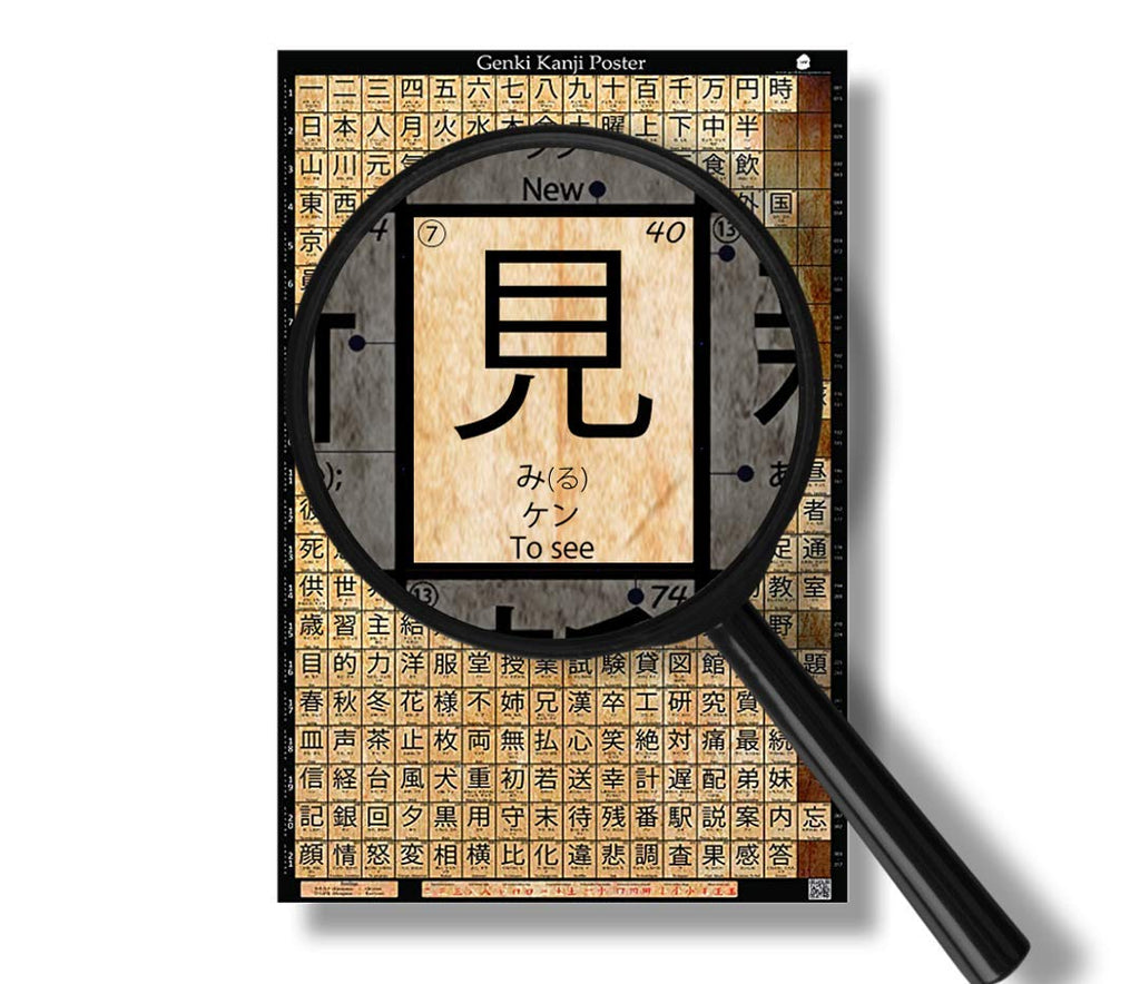Japanese Language Learning Poster (24"x36") - Learn over 300 Characters of the Japanese Alphabet, Large Matte