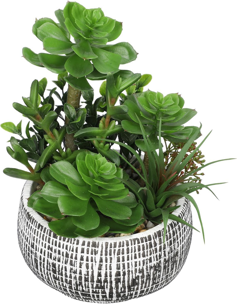 Large Artificial Succulents in Ceramic Pot Faux Succulent Arrangement 10" | Realistic Artificial Plants Indoor, Fake