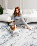 5x7 Modern Abstract Area Rug, Soft Non-Slip Indoor Carpet for Living Room Bedroom White Grey Blue