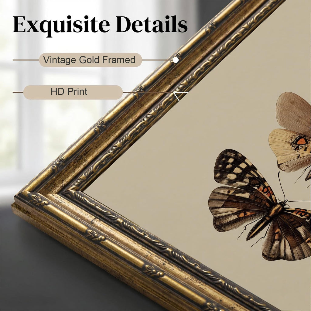 Vintage Gold Framed Butterflies Wall Art, Entomology Butterfly Specimen Canvas Print, Dark Academia Wall Decor, Large
