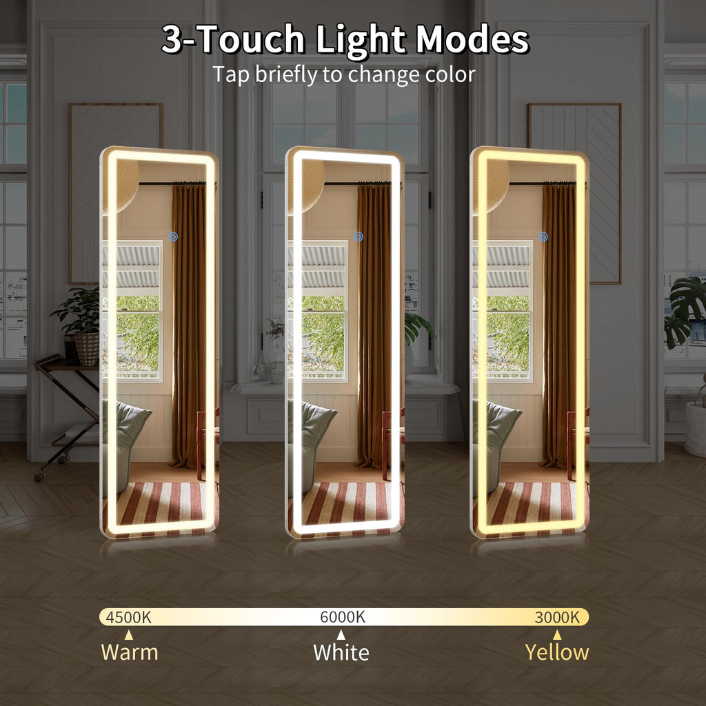 Full Length Mirror Door Hanging with LED Lights 48"x16"