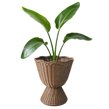 Rattan Planter, Woven Planter Basket for Plants Indoor Outdoor, Rattan Flower Pot, Decorative Plant Holder Basket for