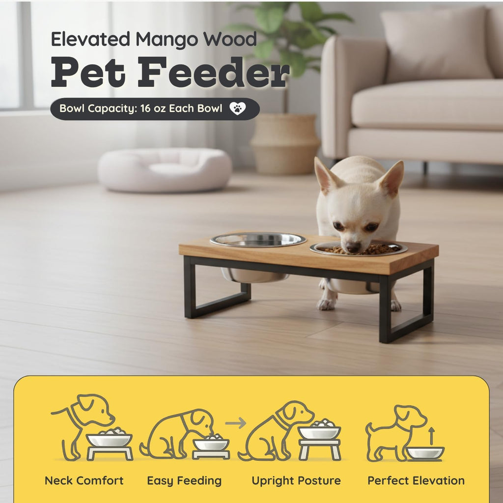 Elevated Dog Bowls, 4" Small Dogs & Cats Raised Bowl Mango Wood Stand, Food & Water 2 Stainless Steel Dishes Each