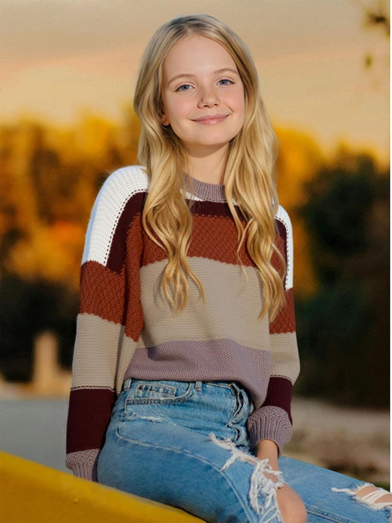 Chunky Knit Striped Winter Fall Sweaters Casual Long Sleeve Crew Neck Pullover Color Blocks Sweater Tops