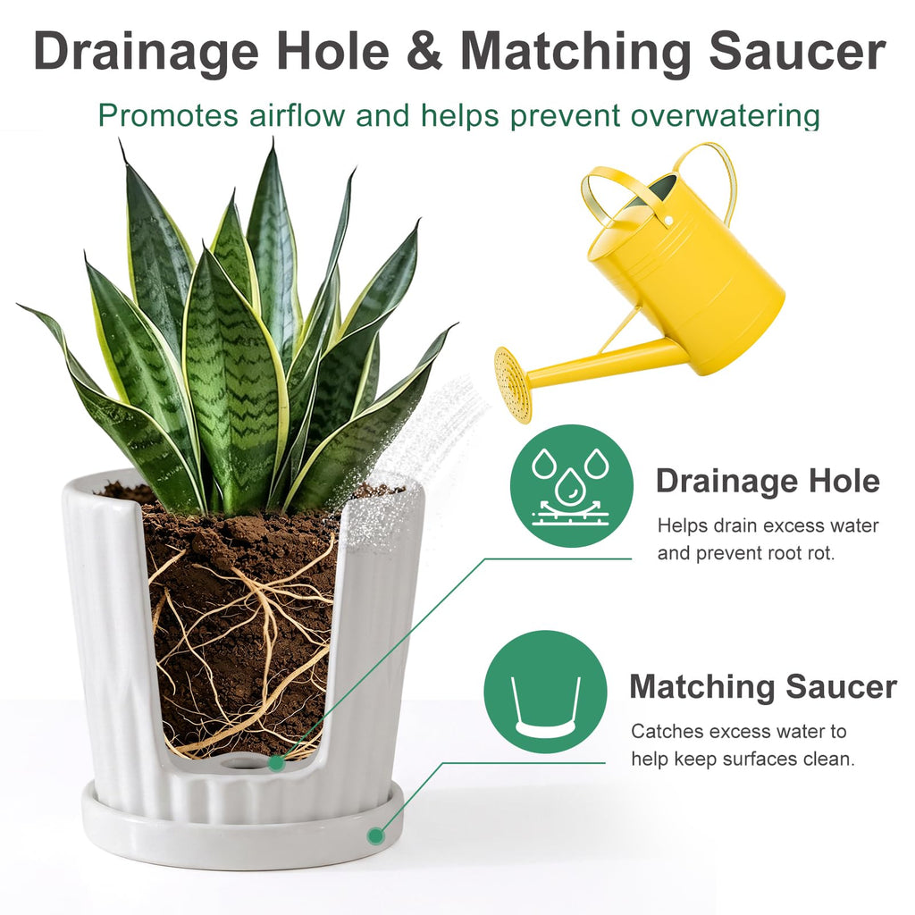 White 6 Inch Flower Pots for Plants, Ceramic Planter with Drainage Holes