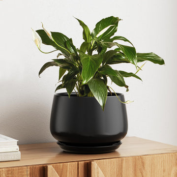 Ceramic Planter, 10 Inch, Large Plant Pot, Indoor Plant Pot, Black