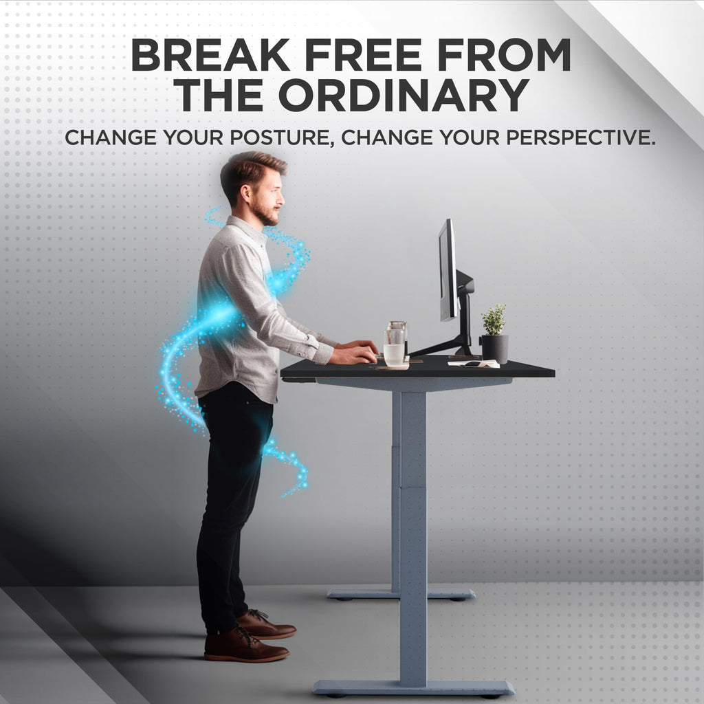 Rise UP Dual Motor Electric Standing Desk 48x30 Black Desktop Premium Ergonomic Adjustable Height sit Stand up Home