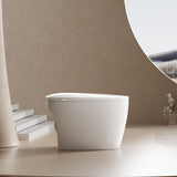 Smart Tankless Toilet with Heated Seat, Auto Flush, Foot Sensor Flush, Night Light, Elongated One-Piece Design