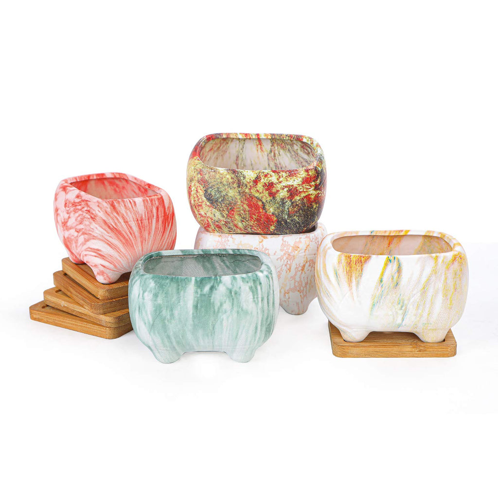 Succulent Pots, 4.7 Inch Rectangular Planters with Drainage Tray Set of 5