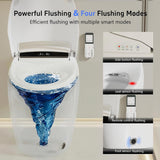 Smart Toilet with Warm Water Sprayer and Dryer