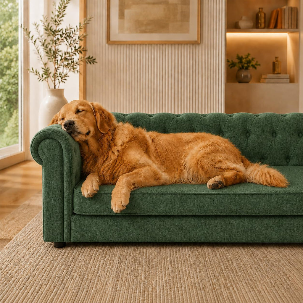 Large Dog Sofa, for Large & Extra Large Dogs