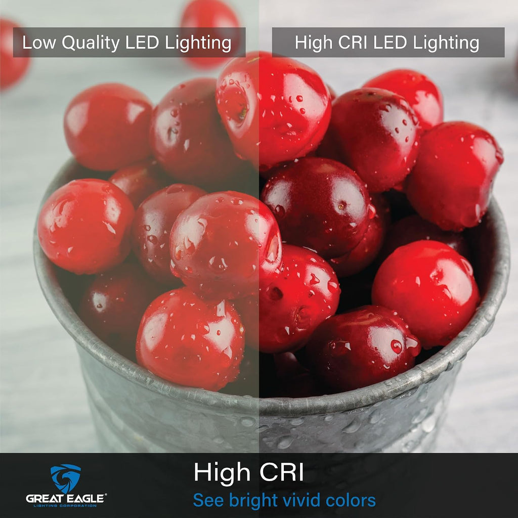 A19 LED Light Bulbs - 100W Equivalent (15W), Daylight 5000K, 1500 Lumens, Non-Dimmable, UL-Listed, Energy-Saving 4-Pack