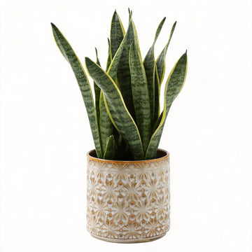 Ceramic Planter Ceramic Plant Pot, 5.3 Inch Small Planter with Unique Glaze, Home Decor Indoor Outdoor Flower Pot for