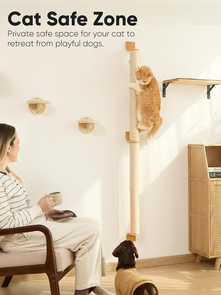 Cat Wall Scratcher, 60" Tall Kitten Scratching Post